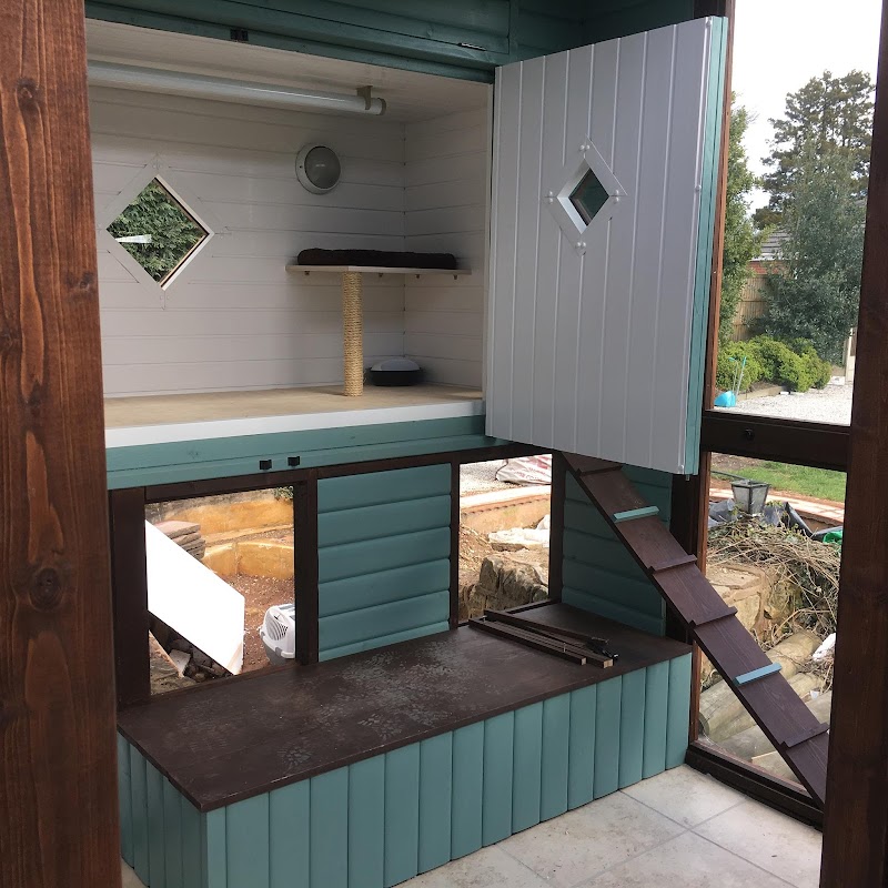 Lime Grove Cattery photo 3