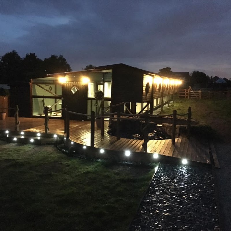 Lime Grove Cattery photo 1