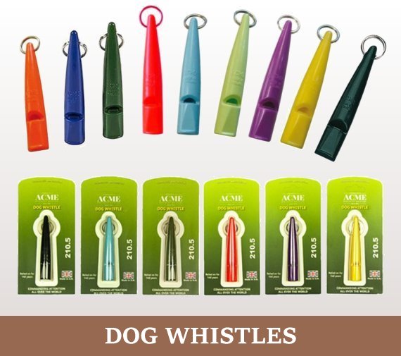 Gundog Solutions photo 3