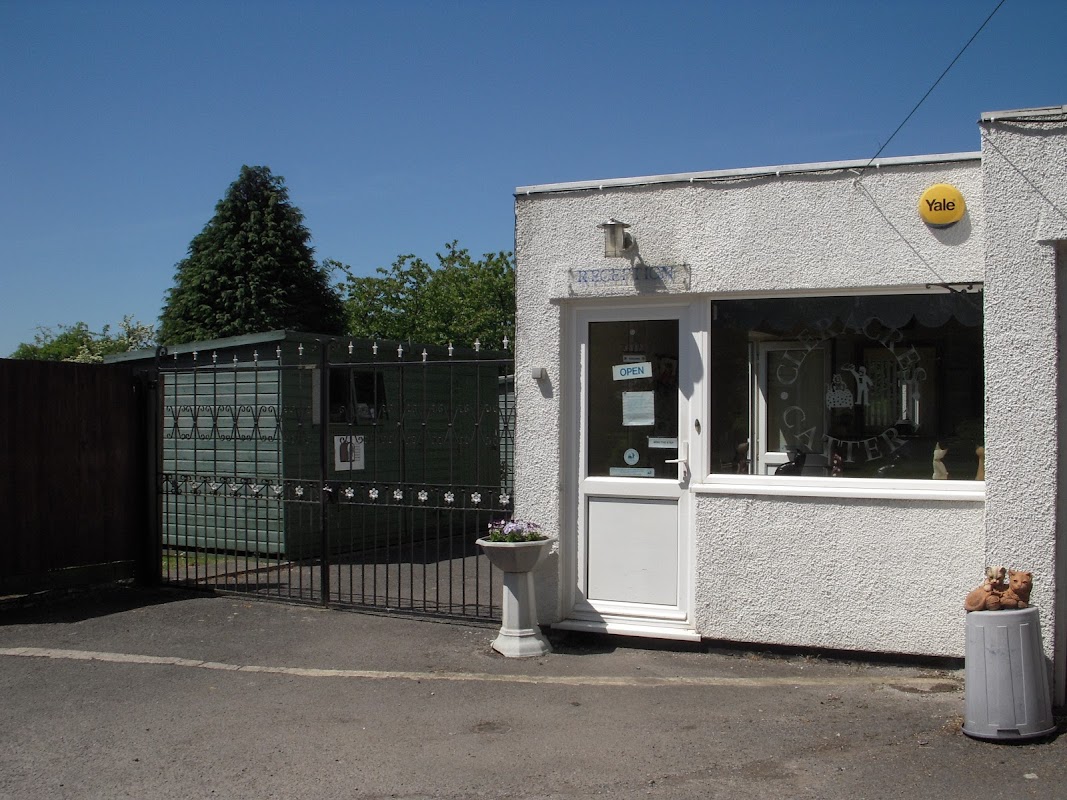 Cleracres Cattery Ltd photo 2