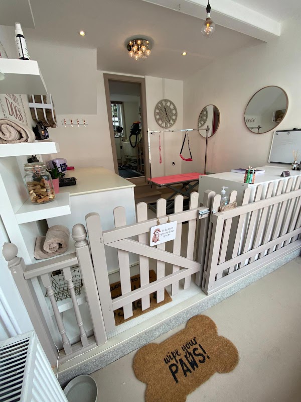 Beautiful Dogs Boutique photo 2