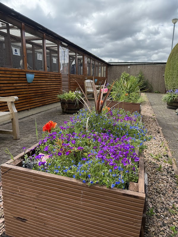 Airth Station Cattery photo 3