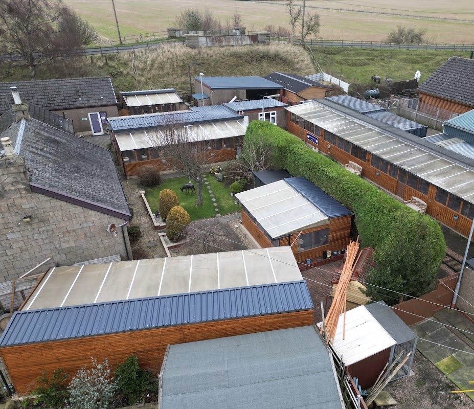 Airth Station Cattery photo 2