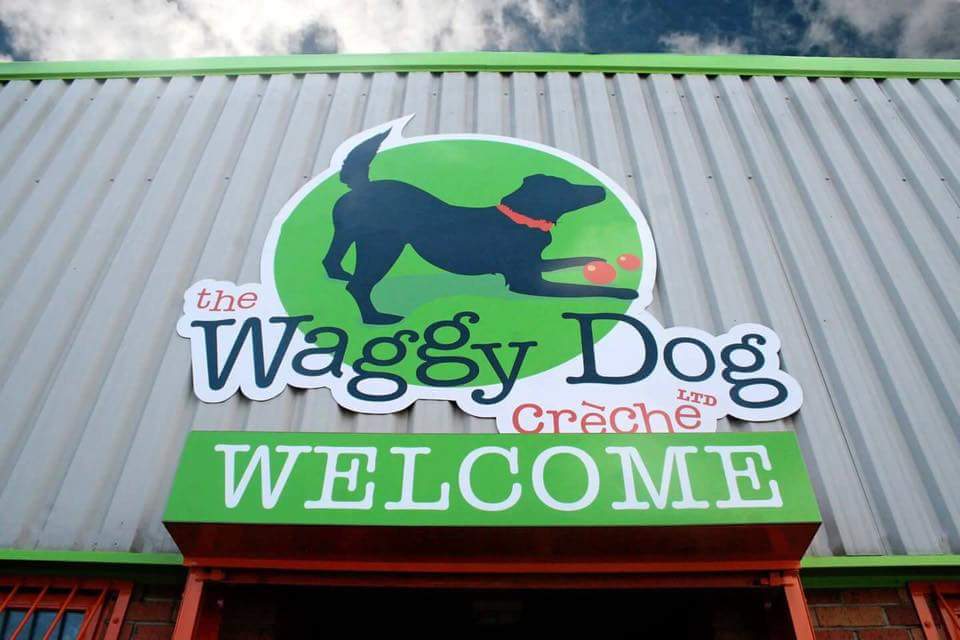 The Waggy Dog Creche Ltd photo 1