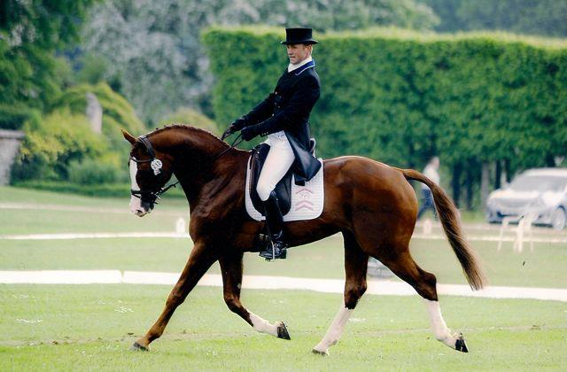 West End Farm Stud