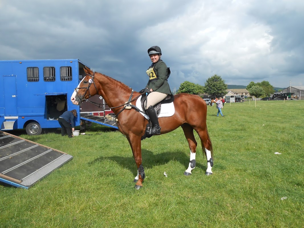 West End Farm Stud photo 1