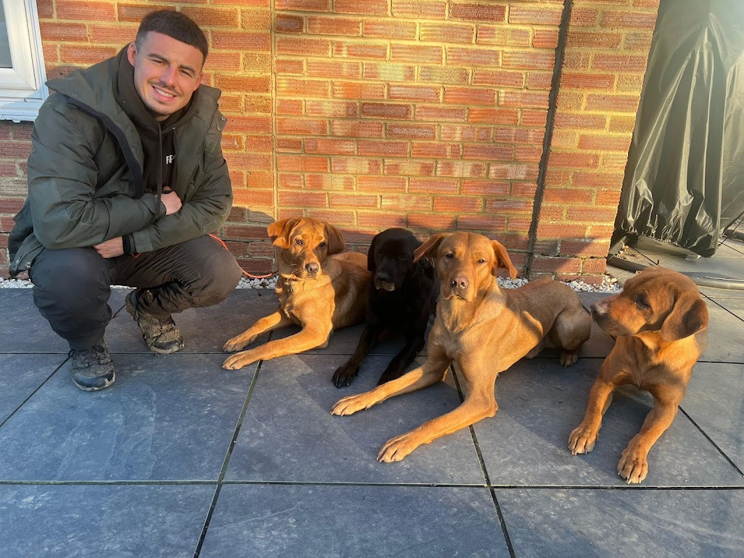 PippinsPlace Dogs — breeder photo