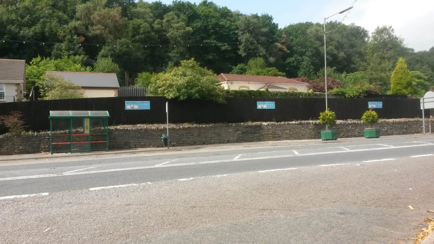 Willowdell Cattery photo 2