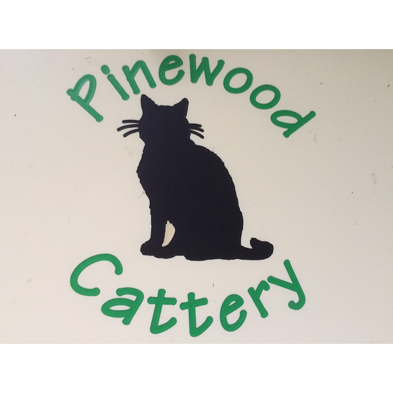Pinewood Cattery photo 3