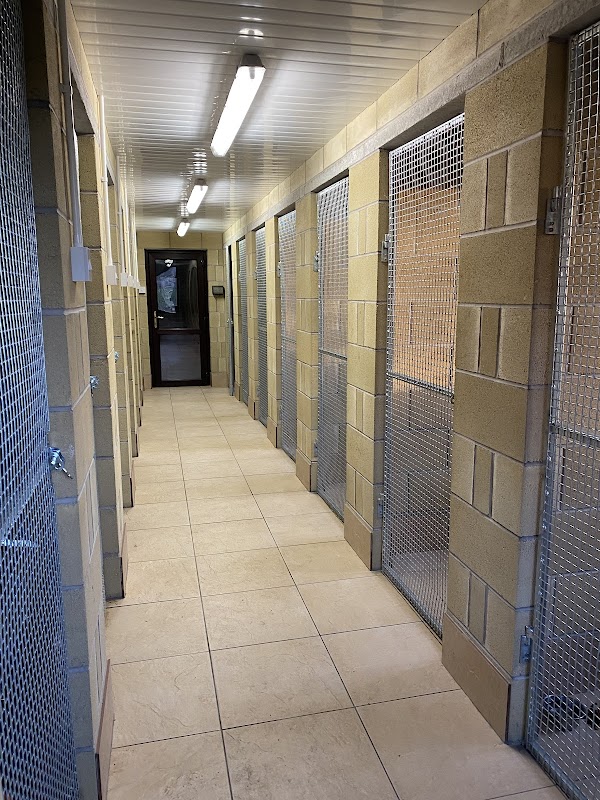 Coventry Cattery photo 1