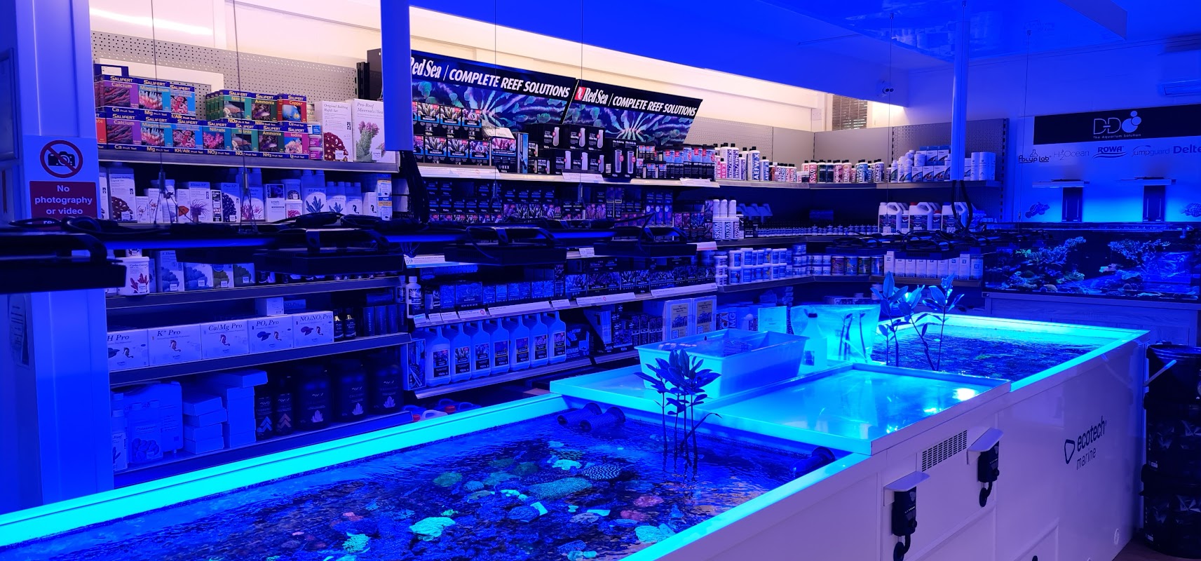 Advanced Aquarium Consultancy photo 1