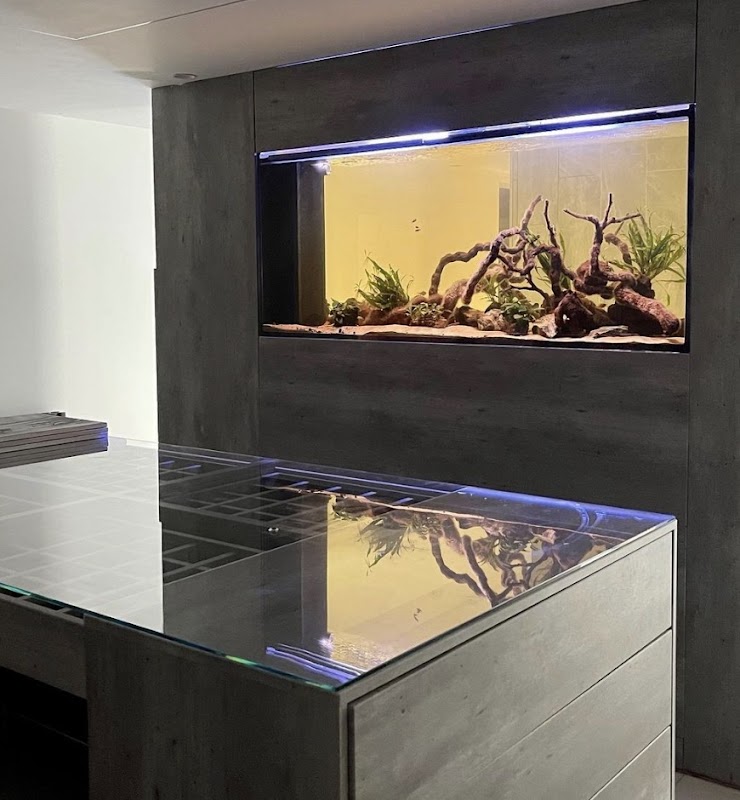 Aquarium Experts Ltd photo 3