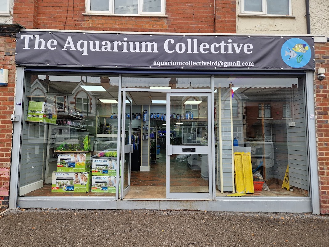 The Aquarium Collective