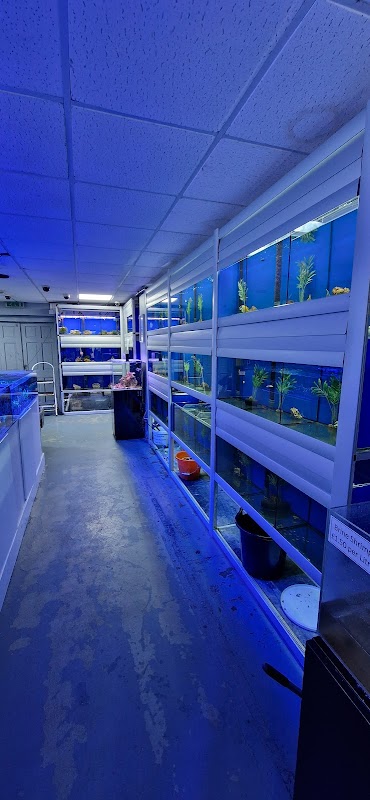 The Aquarium Collective photo 2