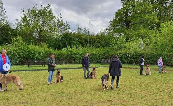 British Association for German Shepherd Dogs, Reigate photo 1