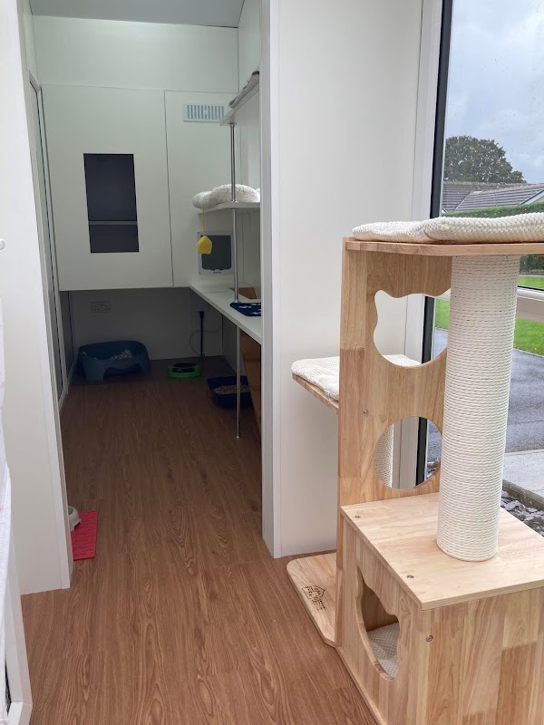 Acer Lodge Cattery