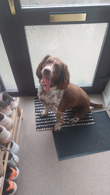 Ham Farm Kennels photo 3