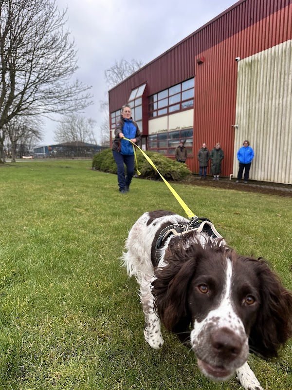 Pure Dog Adventure Training photo 2