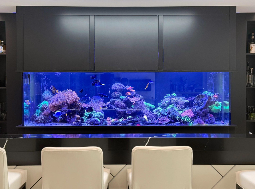 Aquarium Connections photo 2