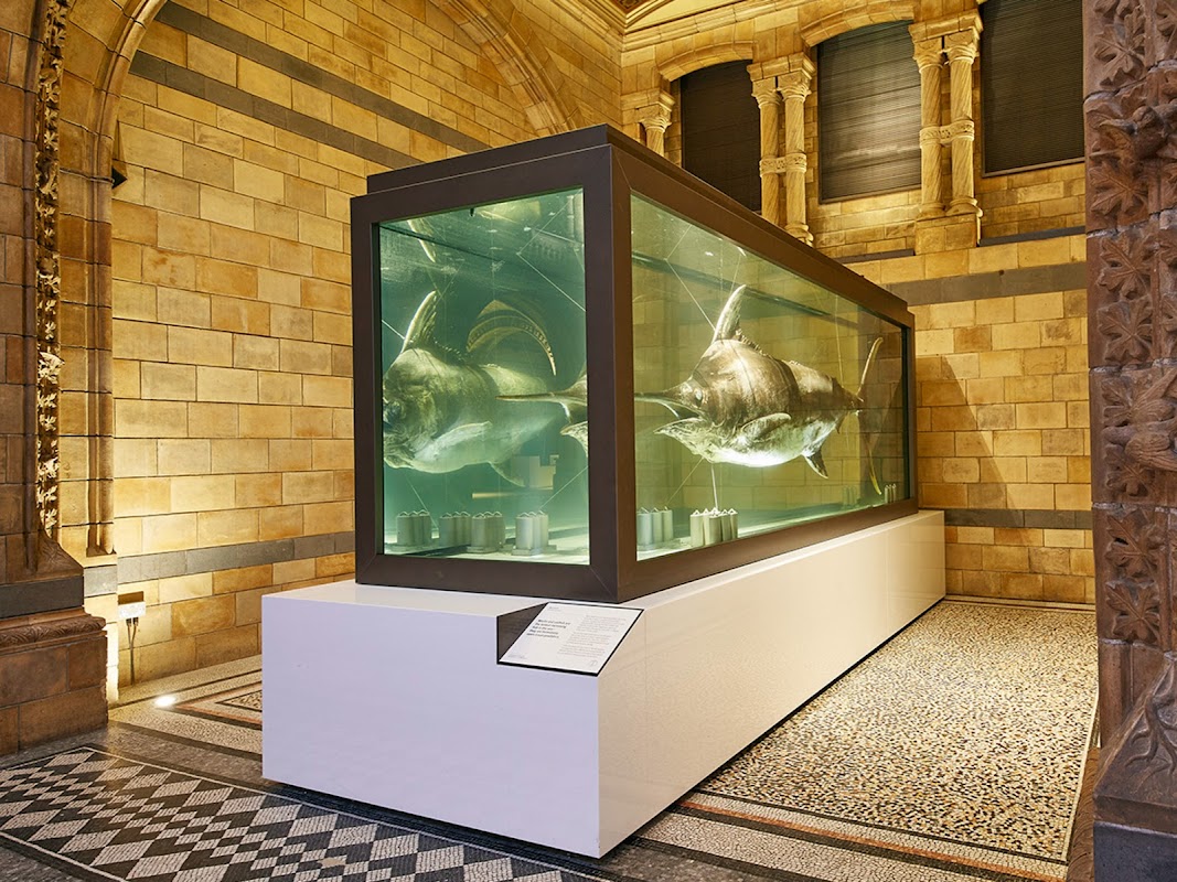 Aquarium Connections photo 3
