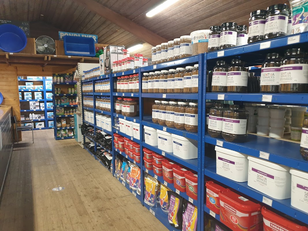 Koi and pond supplies photo 1