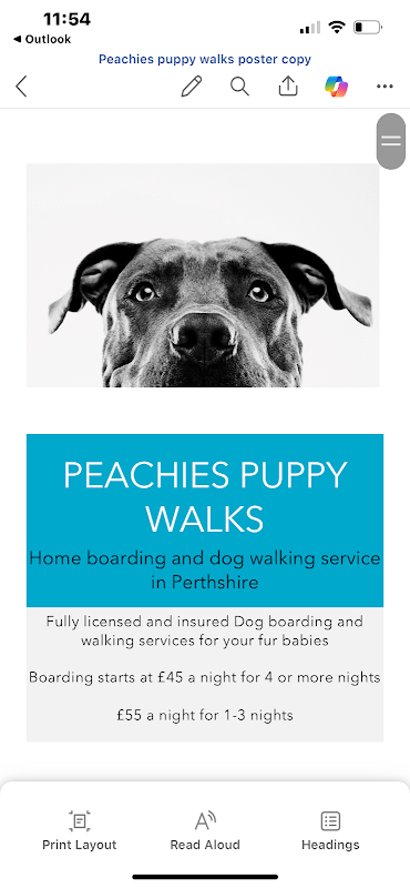 Peachie's Puppy Walks — breeder photo