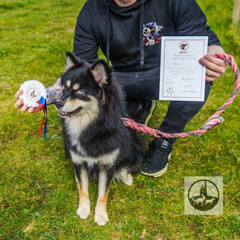 Cornish Dog School photo 2