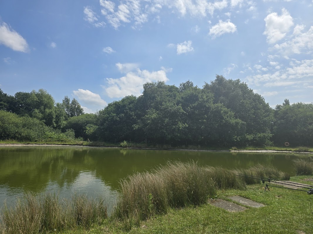 Woodhouse Fish Farm Fishery
