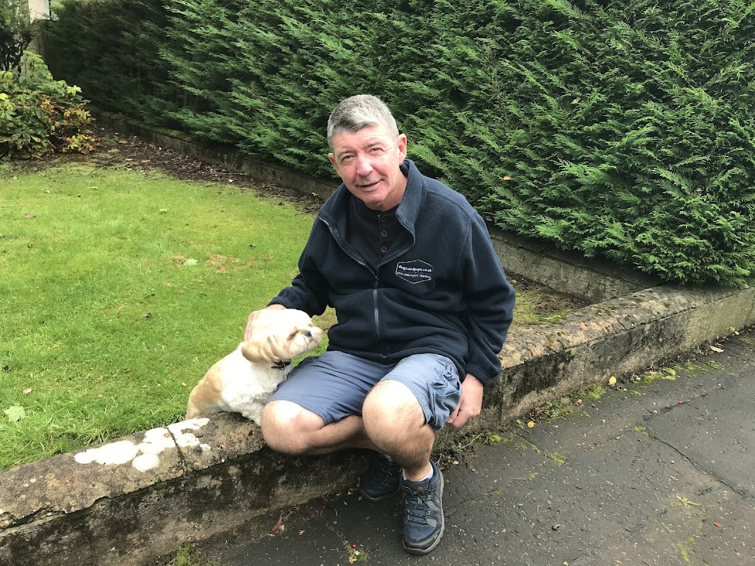 dogsandpups.co.uk