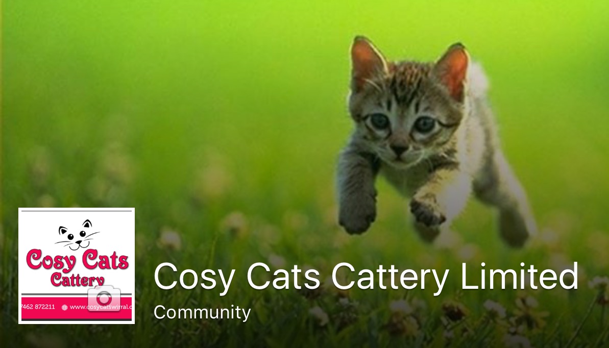Cosy Cats Cattery Wirral photo 1