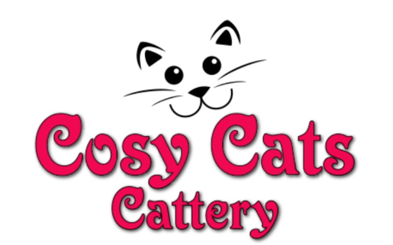 Cosy Cats Cattery Wirral photo 3