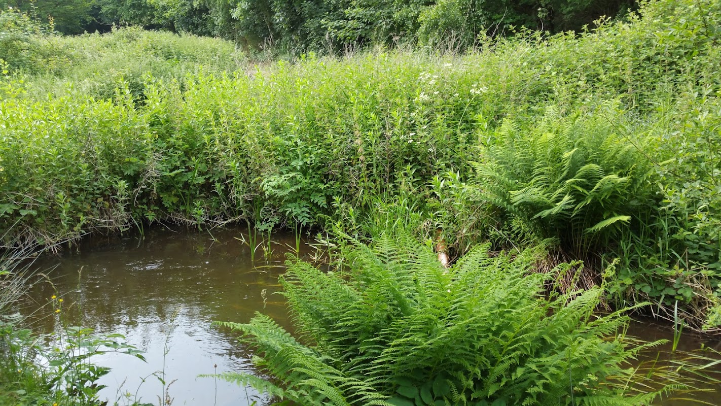 Farnley Fish Farm