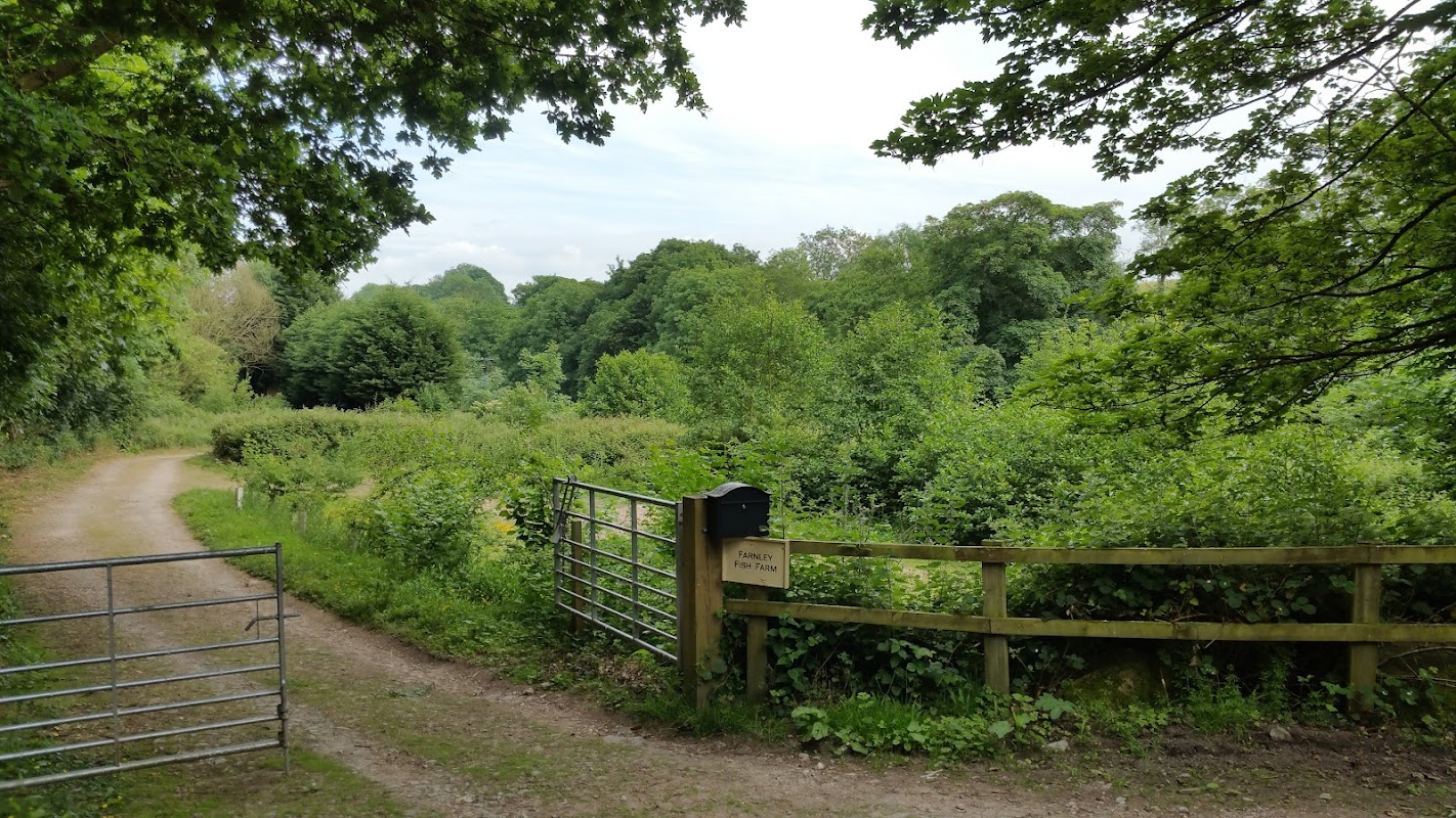 Farnley Fish Farm photo 3
