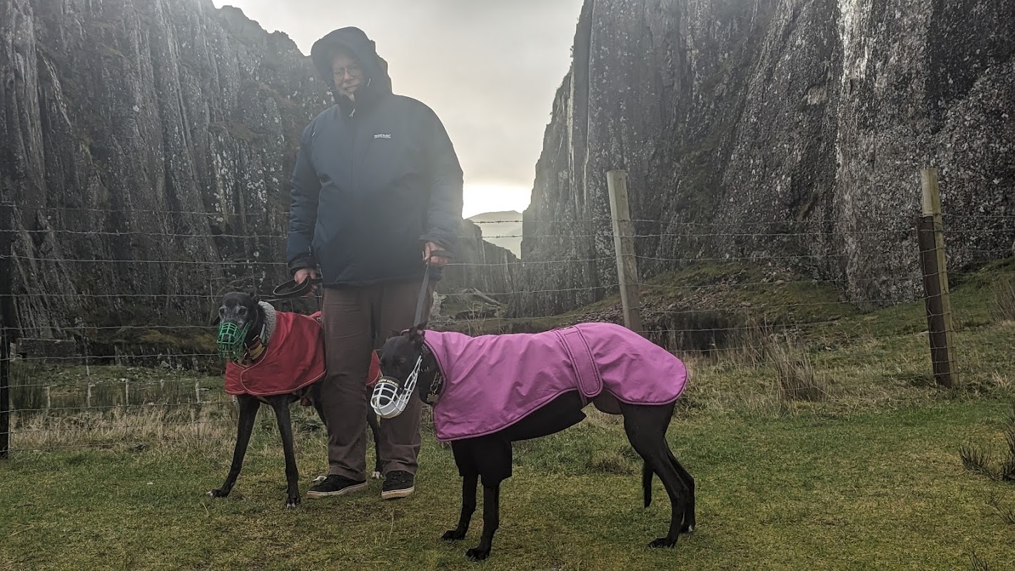 Greyhound Trust Harvel (croftview Kennels) photo 1