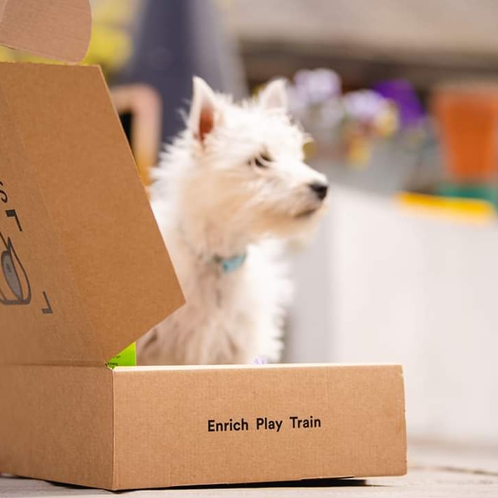 Smart Pup Subscription Boxes