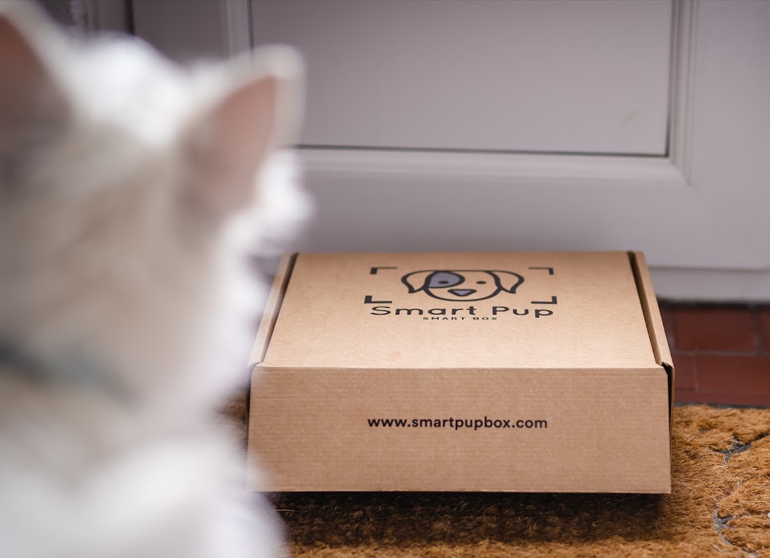 Smart Pup Subscription Boxes photo 2