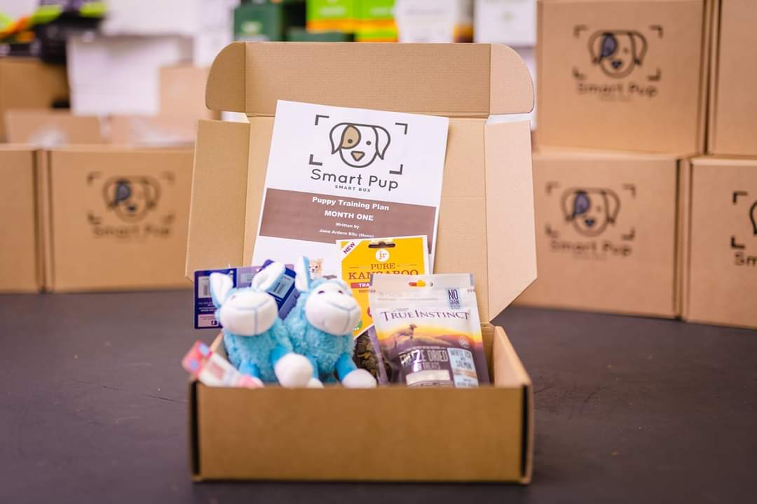 Smart Pup Subscription Boxes photo 3