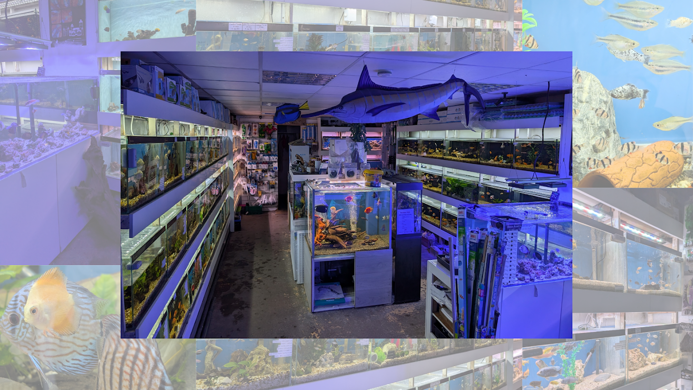 Westwood Aquariums Ltd