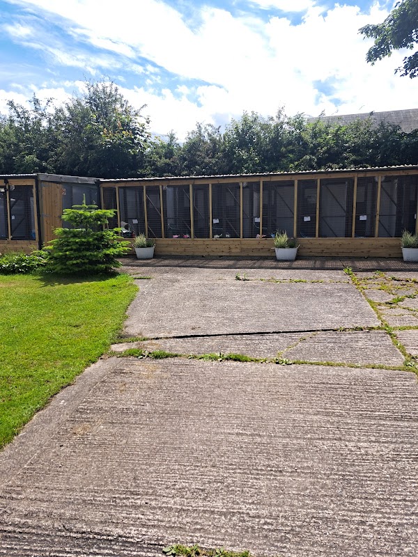 Ivy House Cattery