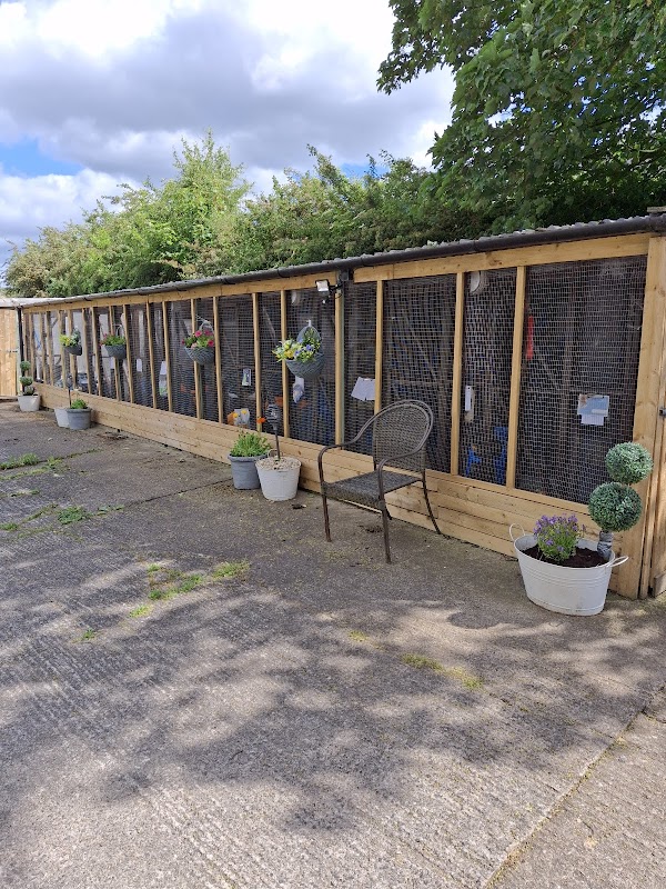 Ivy House Cattery photo 2