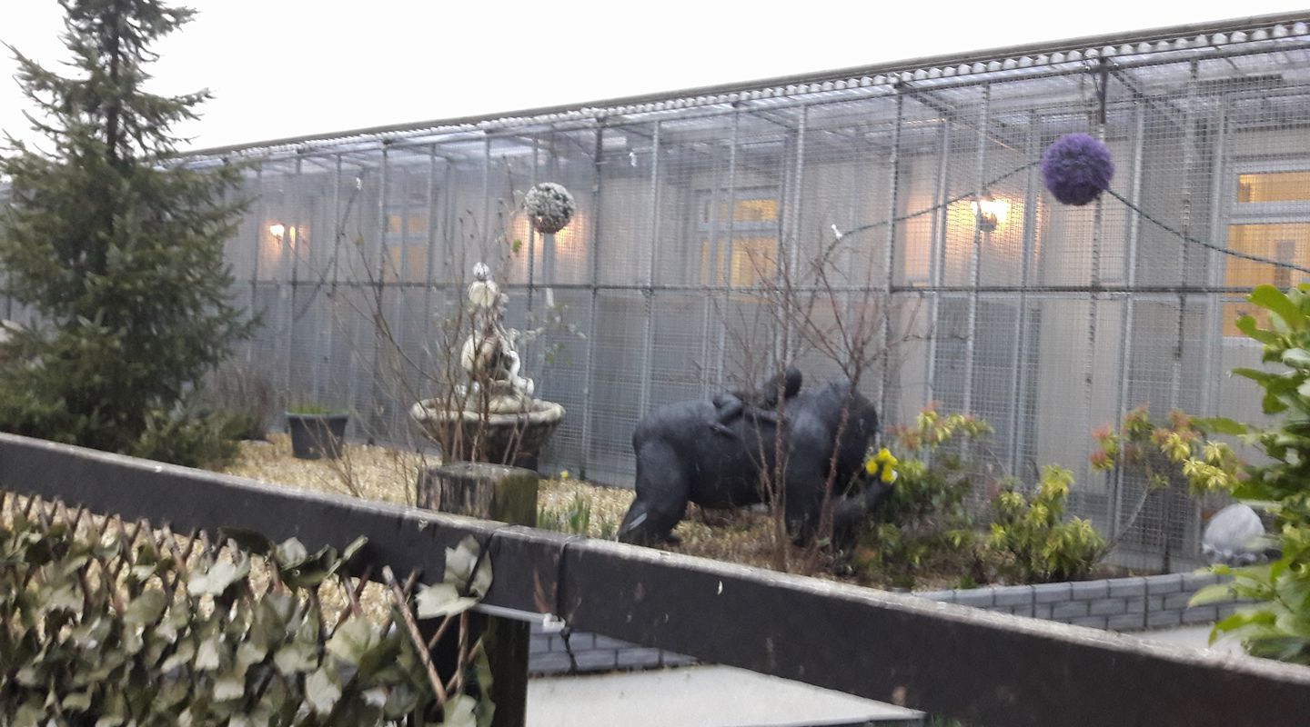 Moss Hall Farm Cattery photo 1