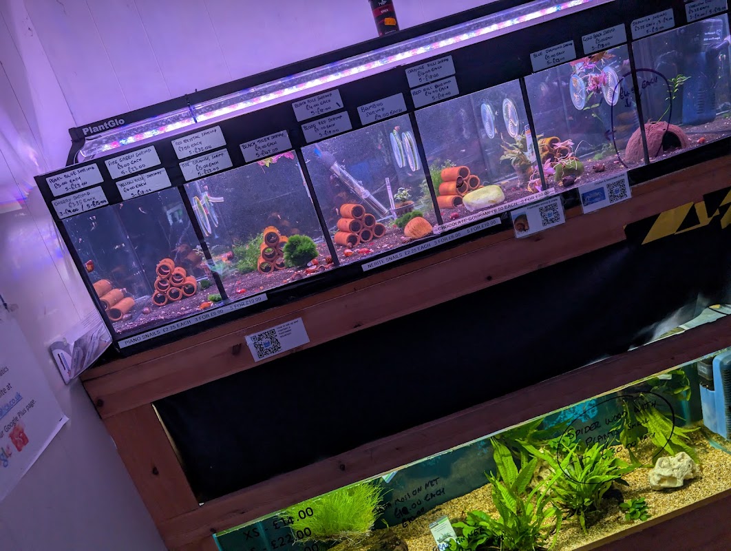 Sedgley Road Aquarium photo 1