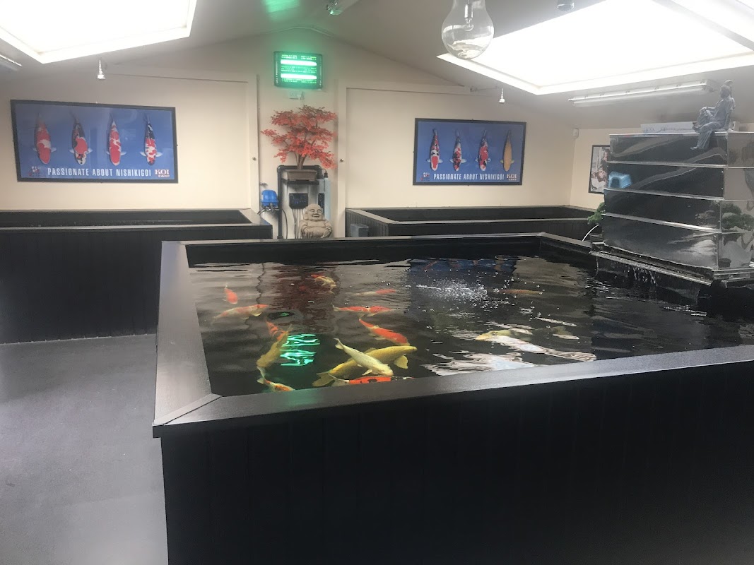 The Oaks Koi Farm