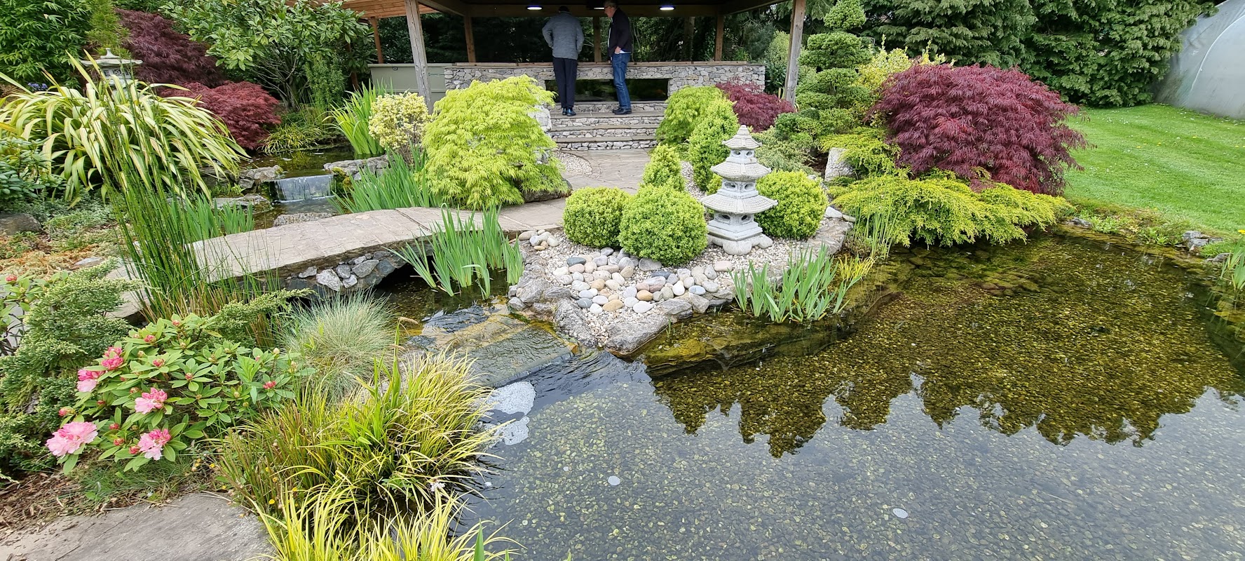 The Oaks Koi Farm photo 1