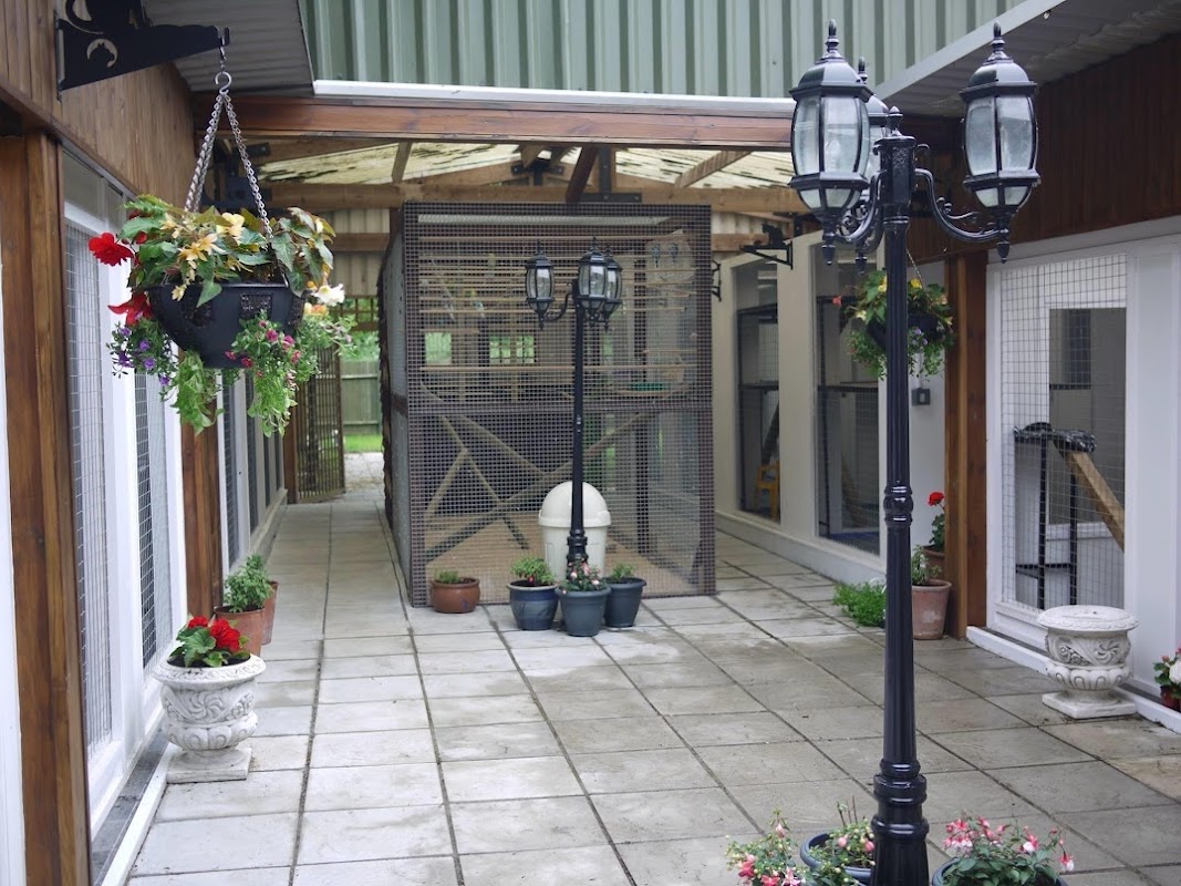 Shangri-La Cattery