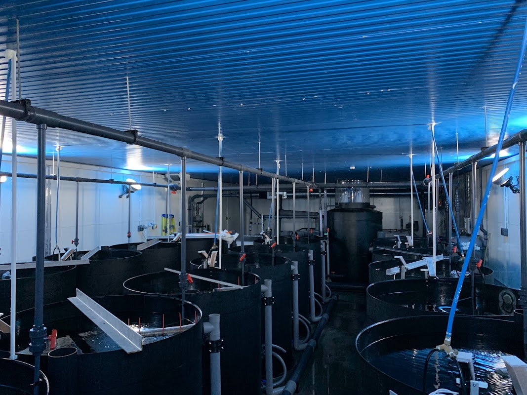 Three Sixty Aquaculture photo 1