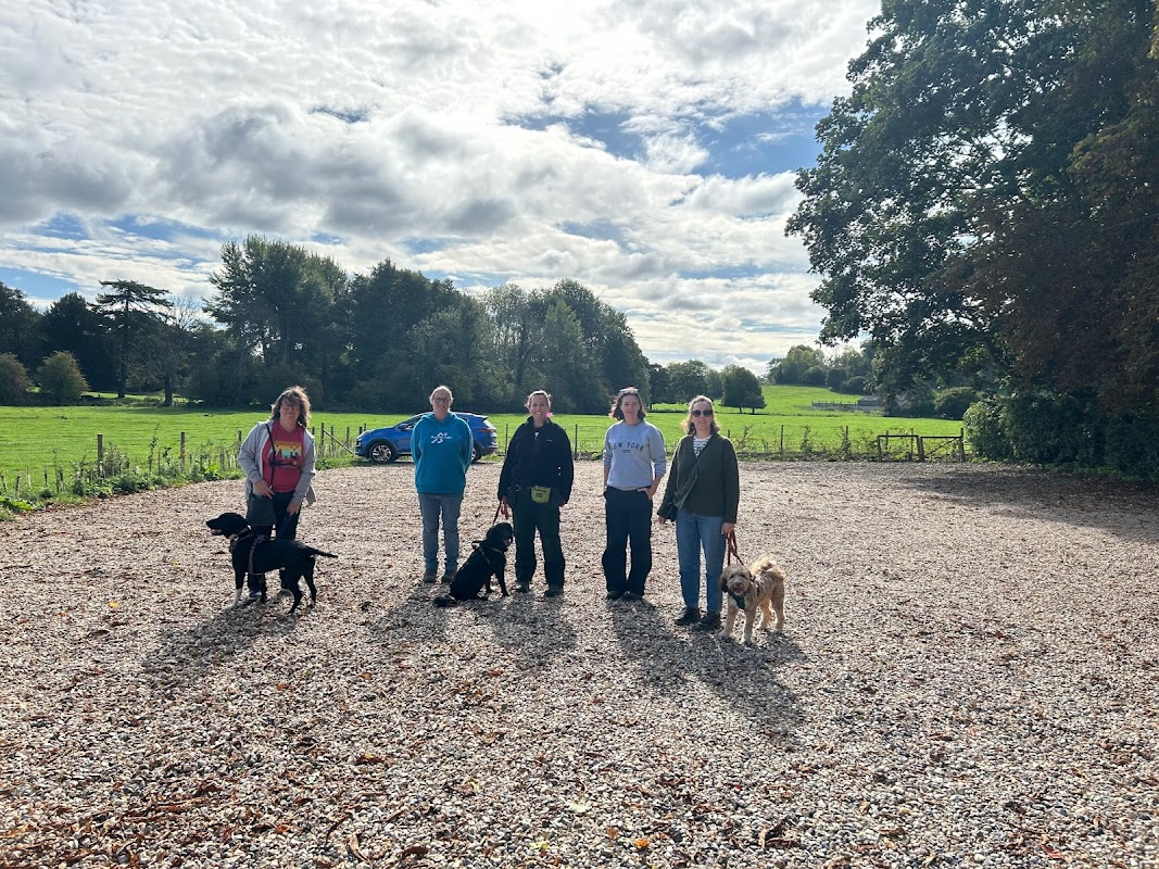 DogScout Training photo 2