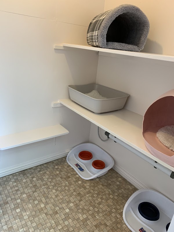 Willows Cattery photo 2