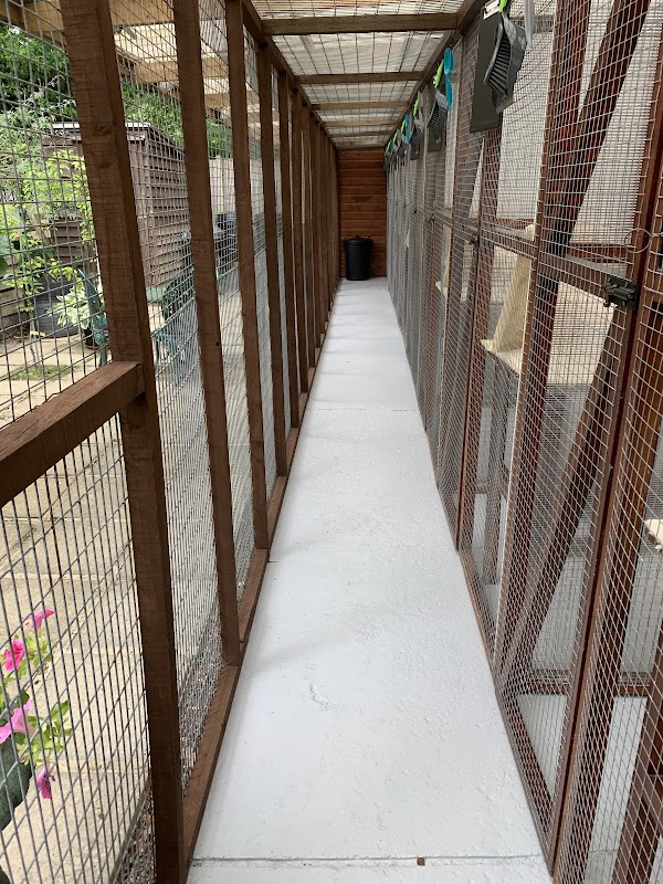 Willows Cattery photo 3